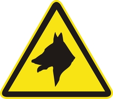 Знак "Осторожно!Злая собака" (200*200*200)